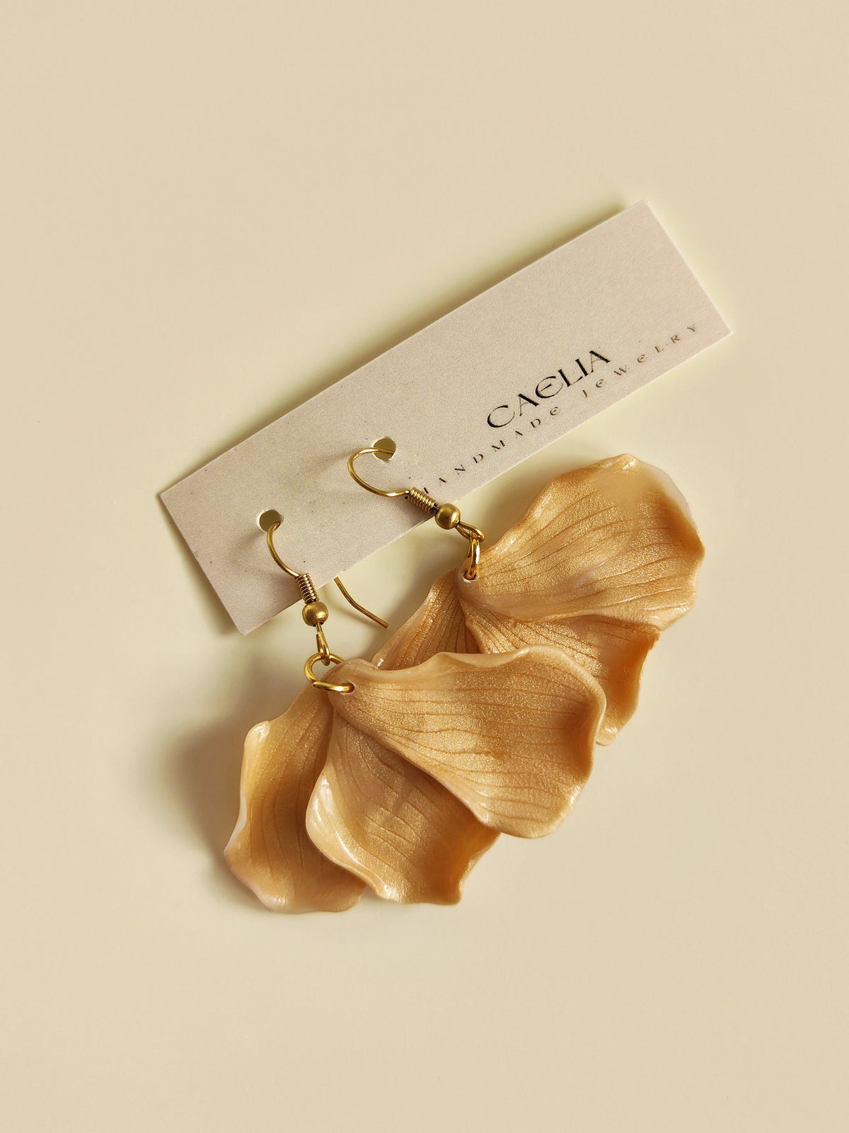 Botanica 05